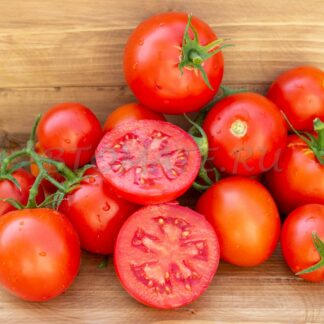 АЛТАЙСКИЙ ДОЖДЬ