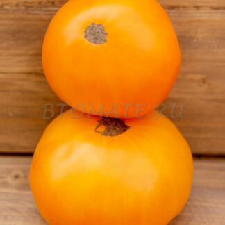 АМАНА ОРАНЖ