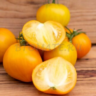 АННА БАНАНА РУССКАЯ (ANNA BANANA RUSSIAN), США