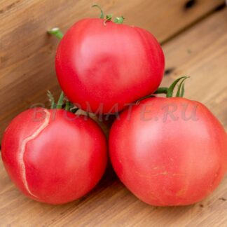 БАБУШКИНО БЫЧЬЕ СЕРДЦЕ