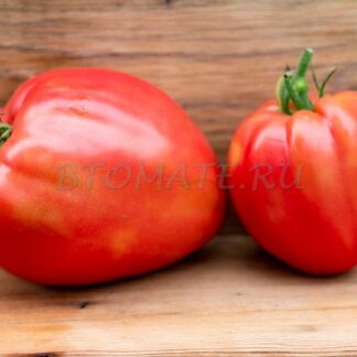 БАБУШКИН МЕД