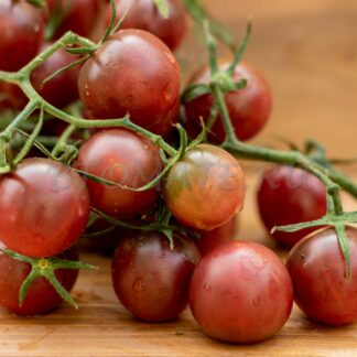 БЛЕК ЧЕРРИ (BLACK CHERRY)