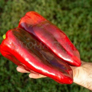 БОЛЬШАЯ БЕРТА (BIG BERTA) США