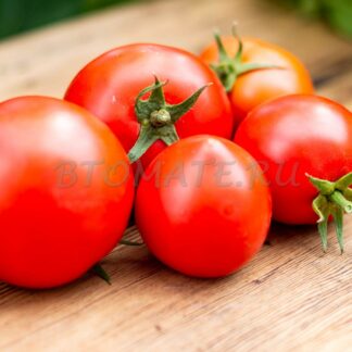 БОЛЬШАЯ МАМОЧКА