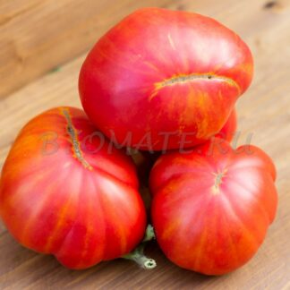 БОЛЬШАЯ РАДУГА (BIG RAINDOW) США