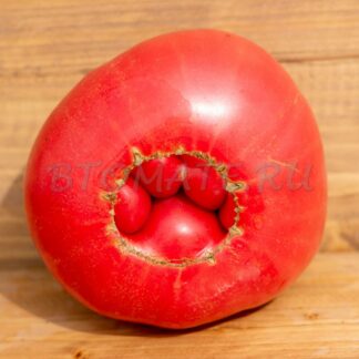 БОЛЬШИЕ ДЕРЕВЬЯ БОТТОМ (Big Trees Bottom, США)