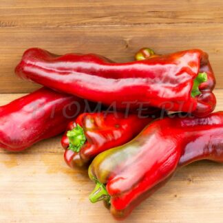 БОЛЬШОЙ РЕУС (Largo de Reus)