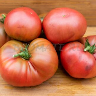 Борония (Boronia Dwarf)