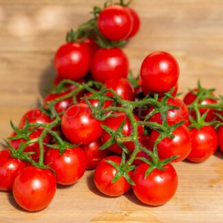 БОЖЬЯ КОРОВКА