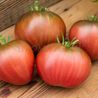 ЧЕРНАЯ ПИРАМИДА