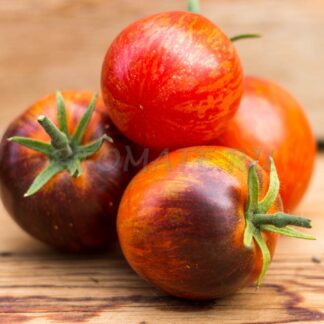 ЧЕРНАЯ ТЕНЬ (BLACK SHADOW), США