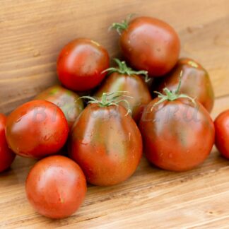 ЧЁРНАЯ ПРИНЦЕССА