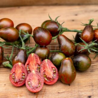 ЧЕРНЫЕ КЛАВИШИ (BLACK KEYES), ФРАНЦИЯ