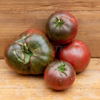 БРЕНДИВАЙН ЧЕРНЫЙ (BRANDYWINE BLACK), США