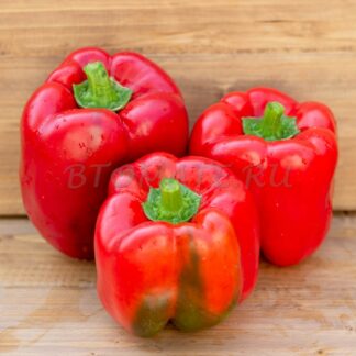 ДЕРЗКИЙ ТОЛСТЯК