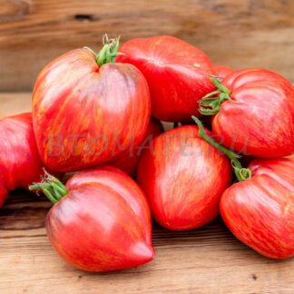 РАЗБИТОЕ СЕРДЦЕ (CRUSHED HEART) ИЛИ ДРОБЛЕНОЕ СЕРДЦЕ