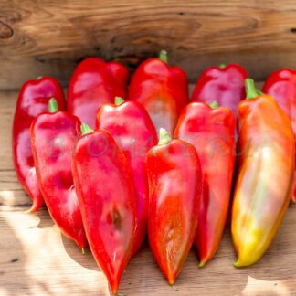 ДУКАТ (Сербия)