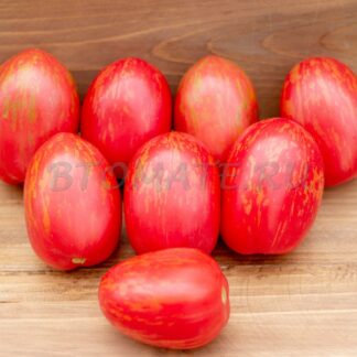 ФЕДЕРИКО (АРГЕНТИНА)