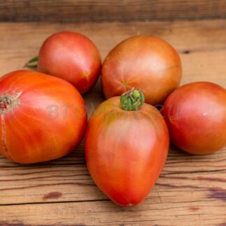 ЧЕРОКИ ФИОЛЕТОВОЕ СЕРДЦЕ (CHEROKEE PURPLE HEART, США)