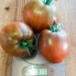 ПУРПУРНОЕ СЕРДЦЕ РЕЙНХАРДА (REINHARD KRAFT PURPLE HEART) ГЕРМАНИЯ