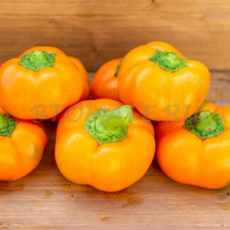 ФОН БАРОН ОРАНЖЕВЫЙ