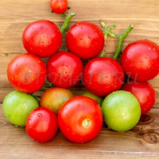 ГЕРМАНИЯ МИНУСИНСКАЯ