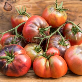 ГРЯЗНЫЙ КУРТА (DIRTY CURTY), США