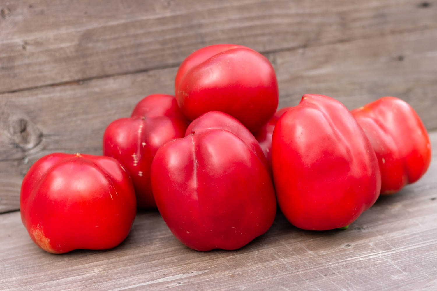 Сладкий перец ИГА — изображение 2