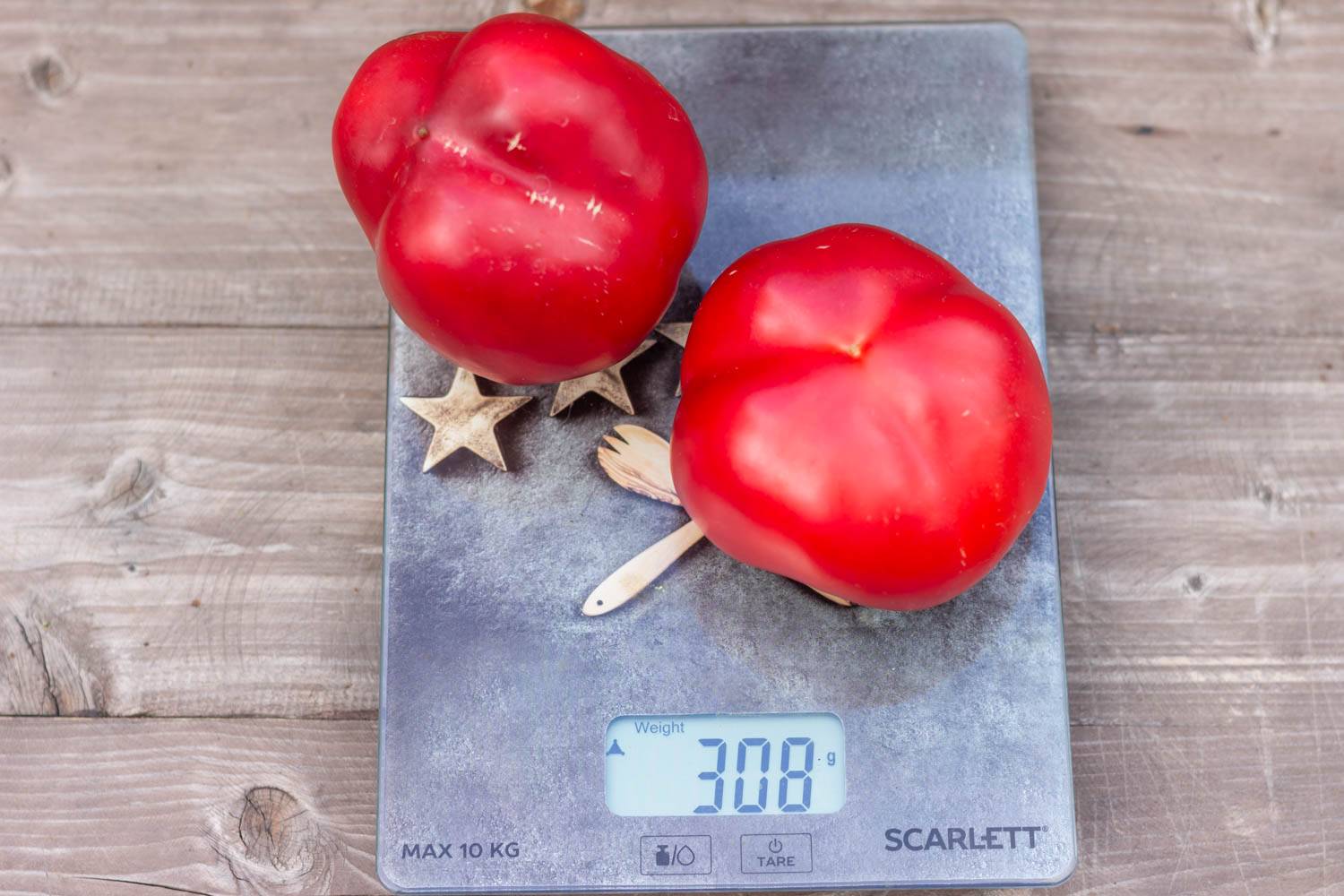 Сладкий перец ИГА — изображение 4