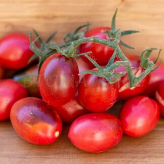 ИНДИГО РУБИ (Indigo Ruby)