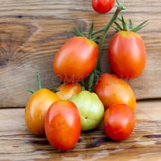 ИТАЛЬЯНСКИЙ АНЖЕЛИНЫ (Angelina’s Italian)