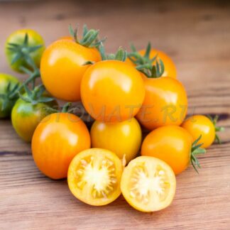 ИЮНЬСКИЙ ЖЕЛТЫЙ УСЫПНОЙ