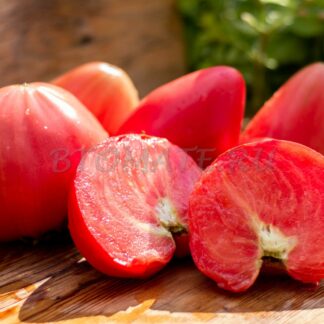 ЗНАМЕНИТАЯ КЛУБНИКА МИССИС ШЛАУБАХ (Mrs. Schlaubaugh's Famous Strawberry, США)