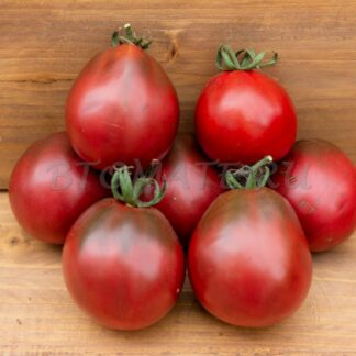 КОПЫТО КАБАНА (BOAR'S HOOF), США