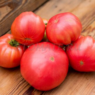 КРИСТИНА ВАТЧЕВА