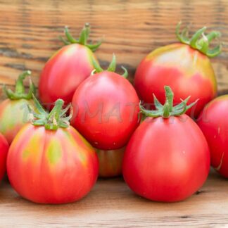 КРЫМСКАЯ РОЗА