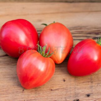 ЛАРИСКИНО СЕРДЦЕ