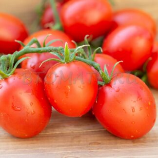 ЛАРИСУ ИВАНОВНУ ХОЧУ