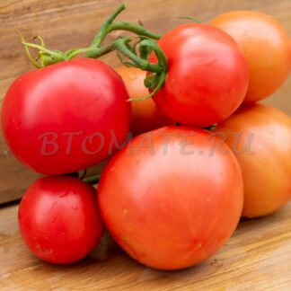 ЛИХАЧ ВИЛС (RECKLESS DRIVER VILS)