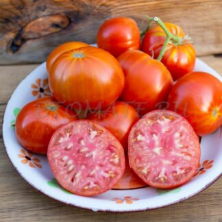 МАМИНА ЛЮБОВЬ, БОЛГАРИЯ