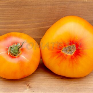 ЗОЛОТОЙ МАРЦИПАН (MARZIPAN GOLD) США