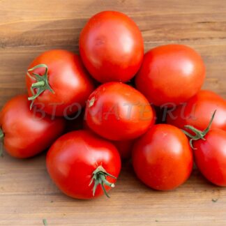 МИНУСИНСКИЙ КИСТЕВОЙ