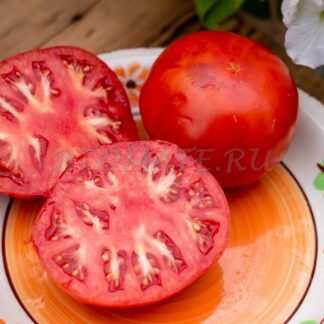 МИНУСИНСКИЙ ЛЕВ