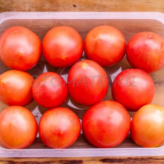 МАРХОТСКАЯ КИСТЬ (МАРХОТСКАЯ ГРОНО), БЕЛАРУСЬ