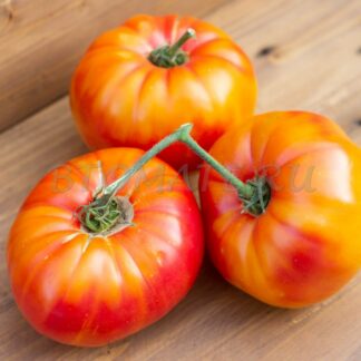 МУЛЬТИКОЛОР (MULTI COLOR), США