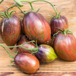 МЯТЕЖНЫЙ ЗВЕЗДНЫЙ ИСТРЕБИТЕЛЬ (REBEL STARFIGHTER PRIME, США)