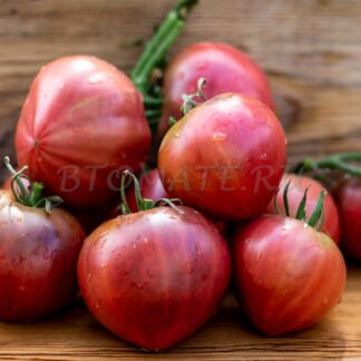 НЕФИОЛЕТОВАЯ КЛУБНИКА (NOT PURPLE STRAWBERRY)