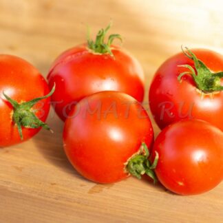 НОВОСАДСКИЙ ЯБЛОЧНЫЙ (Novosadski jabucar, Сербия)