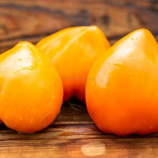 ЗЕМЛЯНИКА ОРАНЖЕВАЯ (ORANGE STRAWBERRY, Германия)