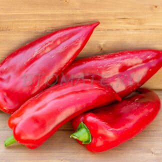 ПАЛАНИЧКО ЧУДО